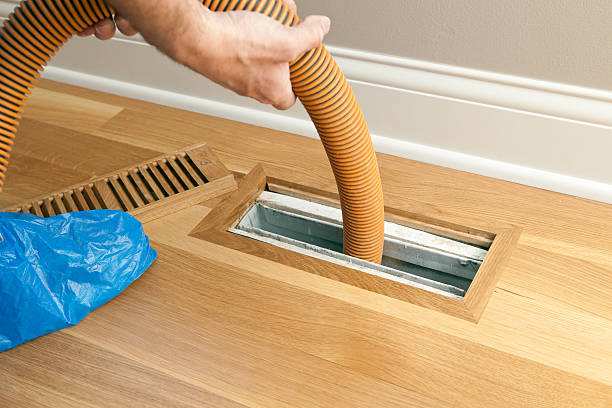 Best HVAC Maintenance and Cleaning  in Paynesville, MN
