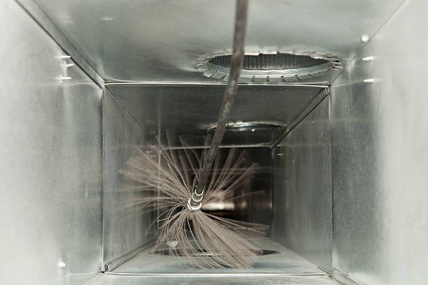 Best HVAC Duct Inspection Services  in Paynesville, MN