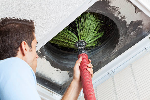 Best Affordable Duct Cleaning Services  in Paynesville, MN