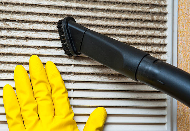 Best Residential Air Duct Cleaning  in Paynesville, MN